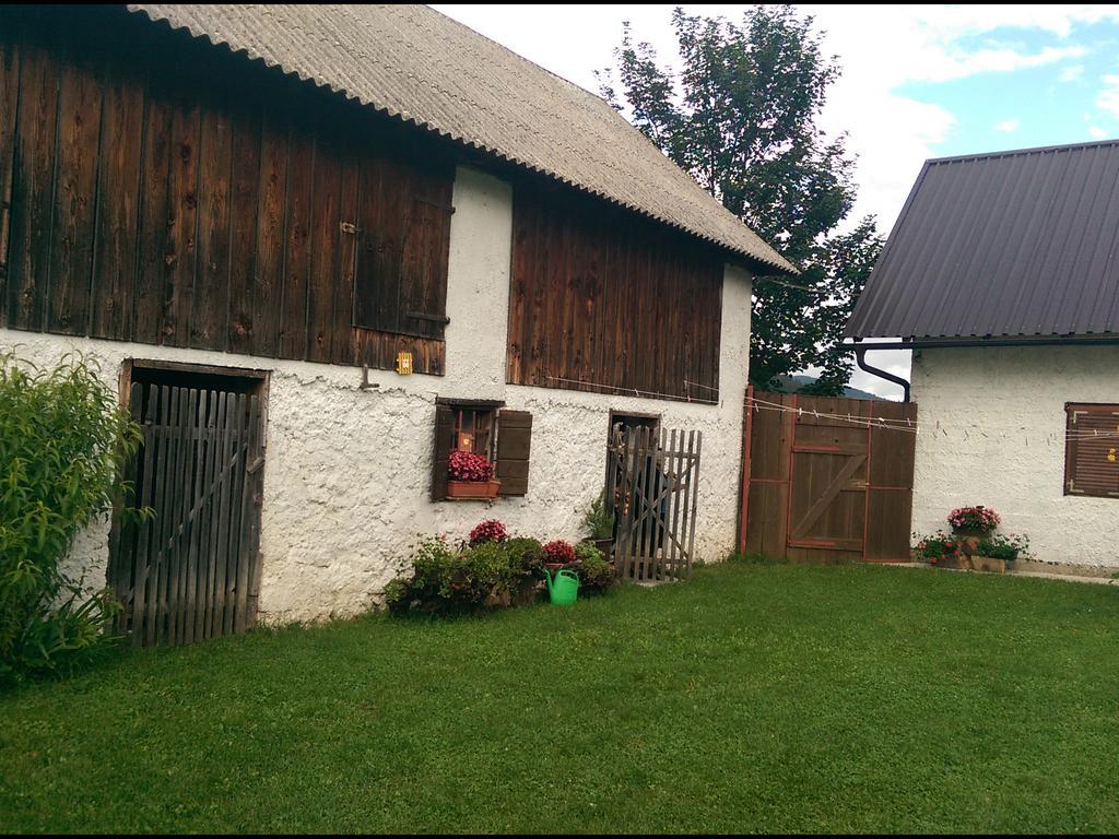 House Nada Appartement Donji Babin Potok Buitenkant foto