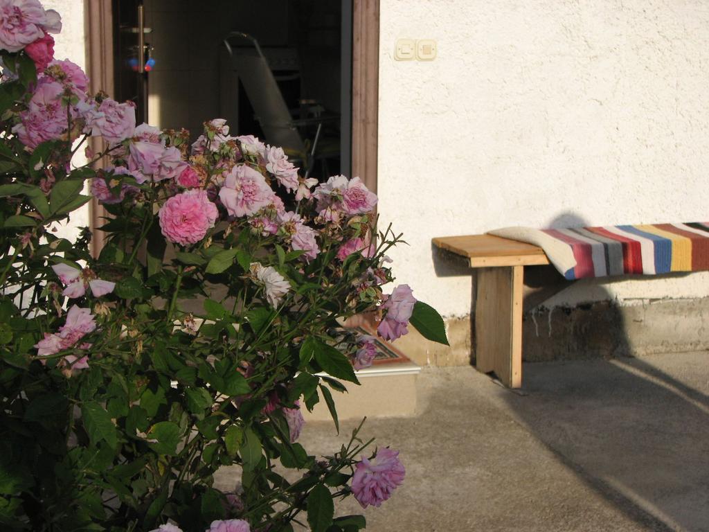 House Nada Appartement Donji Babin Potok Buitenkant foto